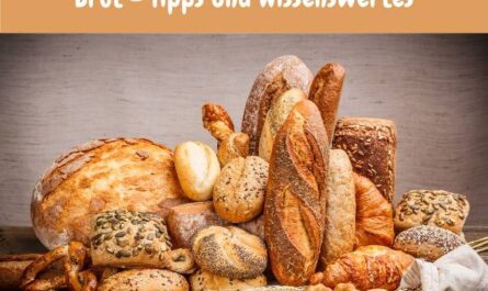 Brot - Tipps und Wissenswertes