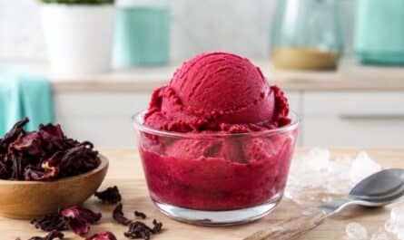 Low Carb Hibiskuseis mit dem Freezer Wand – fruchtig und leicht herb