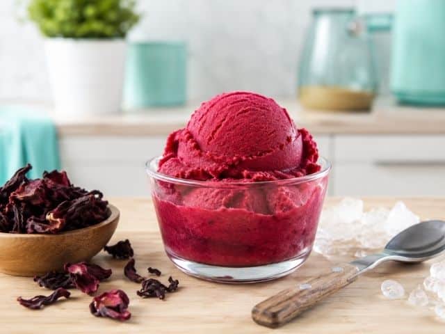Low Carb Hibiskuseis mit dem Freezer Wand – fruchtig und leicht herb